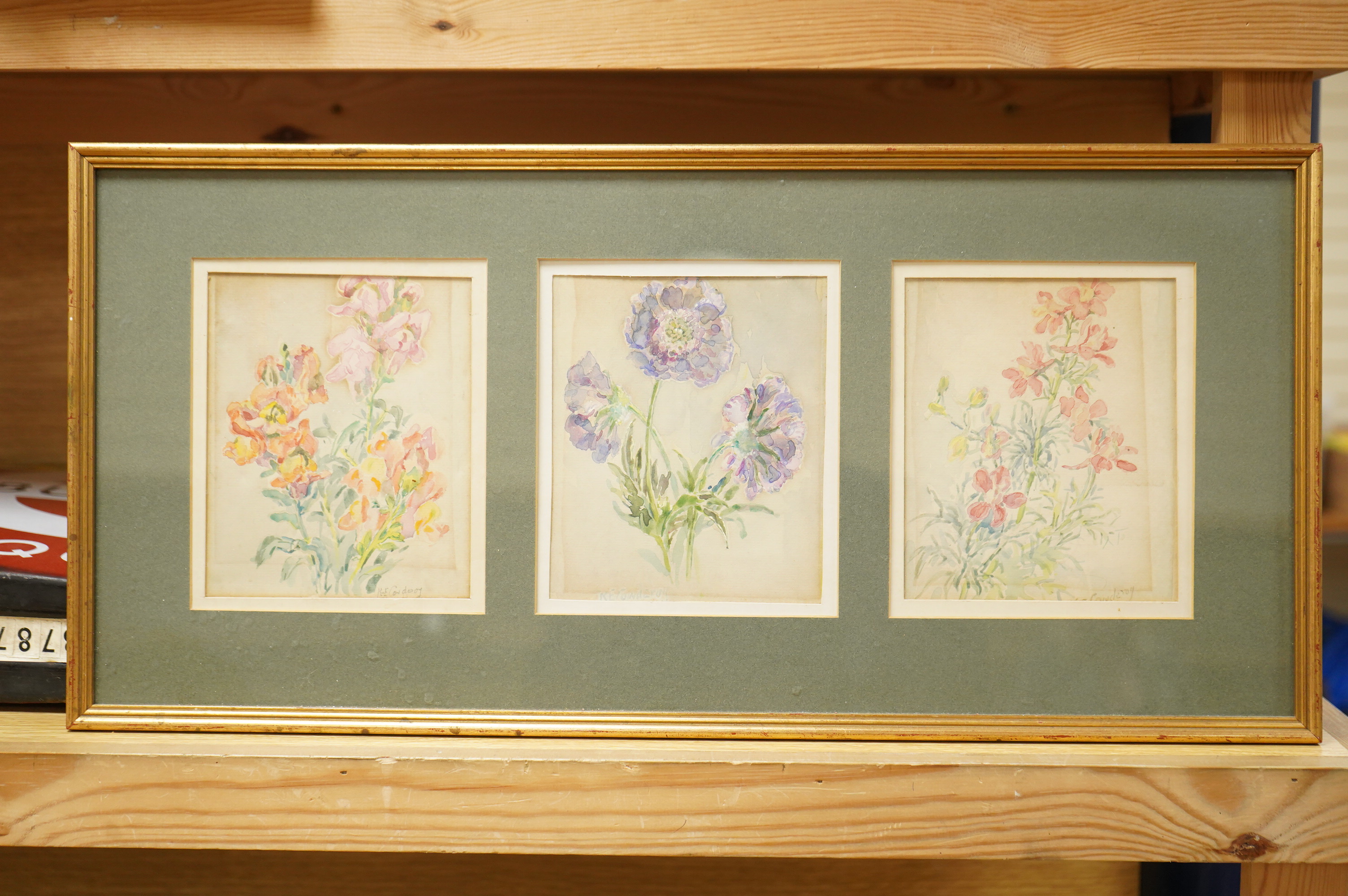 R. E. Cowderoy, Botanical studies, set of three watercolours framed as one, together with a 19th century watercolour of Glengarill, Cork and an oil painting by Sue Broadley, largest 12.5 x 17cm